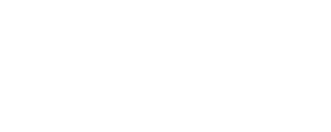 VVSG